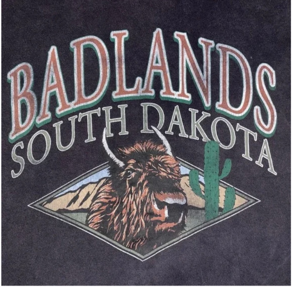 Abercrombie & Fitch South Dakota Badlands Sweatshirt